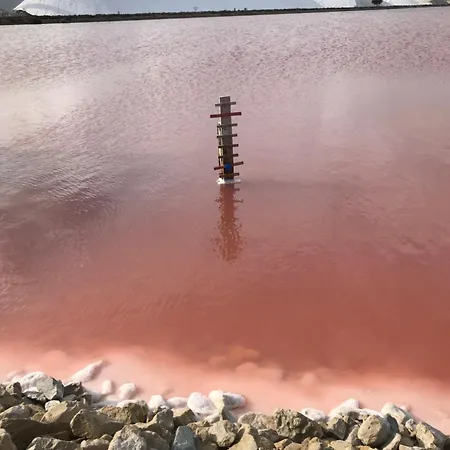 Le Clos Des Vignes * Junas