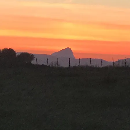 Le Clos Des Vignes * Junas