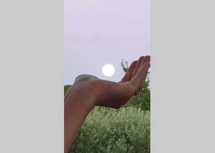 Apartman Le Clos Des Vignes