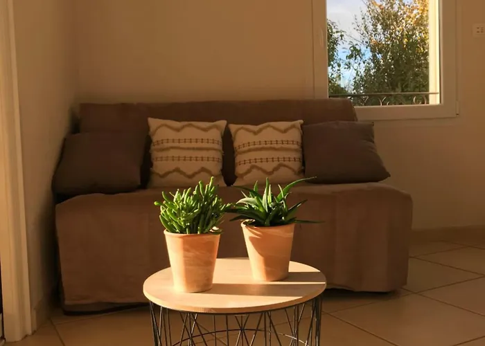 Le Clos Des Vignes * Junas