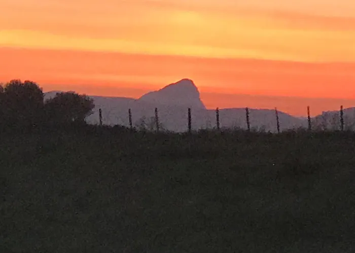 Le Clos Des Vignes * Junas