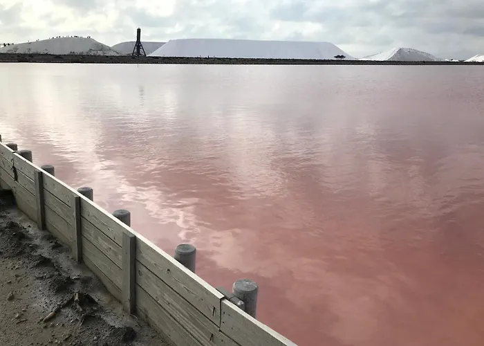 Le Clos Des Vignes *